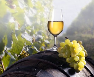 Вино з світлих сортів винограду готують по