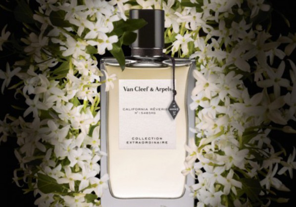 Це новий квітковий аромат, який був випущений в 2015 році Ван Кліфом і Арпельсомом для жінок