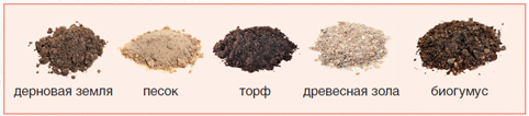 Варіант 2: Грубозернистий пісок, некислий торф і біогумус (1: 3: 1) або пісок з торфом (1: 4)