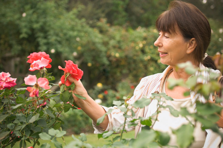 Якщо ви вирощуєте якісь особливі сорти троянд, вам знадобляться більш точні рекомендації