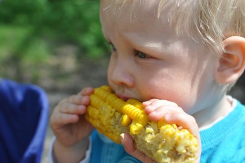 Листя кукурудзи містять ряд корисних речовин і елементів, будучи цінною кормовою масою